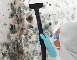 Best Black Mold Removal  in Downingtown, PA